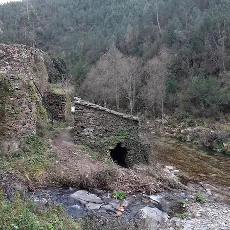 O Zimbrinho Casal do Rei (Seia)