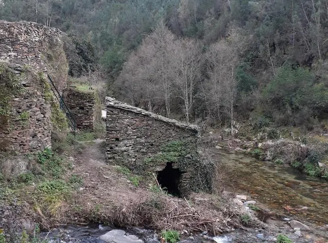 O Zimbrinho Casal do Rei (Seia)