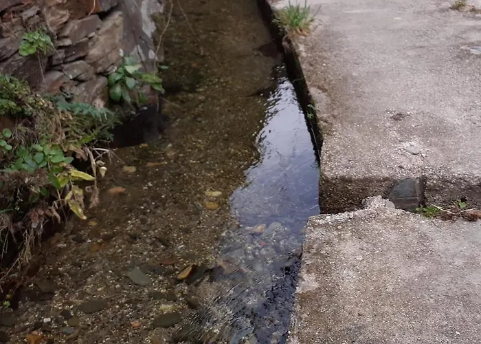 O Zimbrinho Casa vacanze Casal do Rei (Seia)