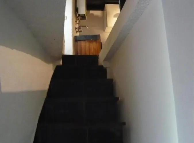 O Zimbrinho * Casal do Rei (Seia)