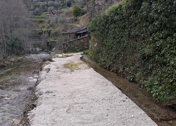 O Zimbrinho Casal do Rei (Seia)