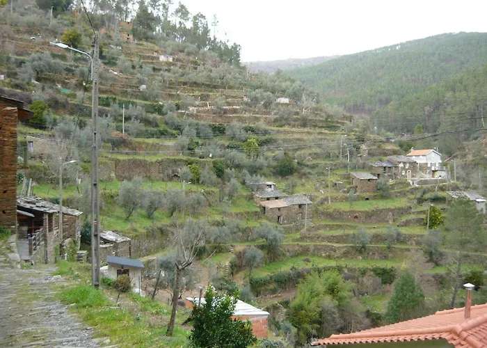 O Zimbrinho * Casal do Rei (Seia)